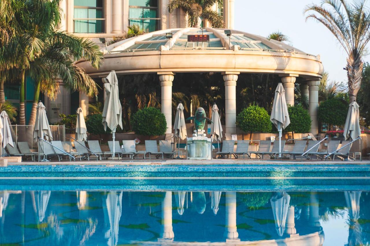 Queen Of Sheba エイラート エクステリア 写真 The swimming pool at the hotel